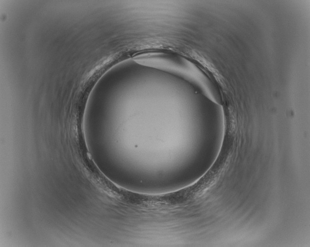 X0000076270681200609281206