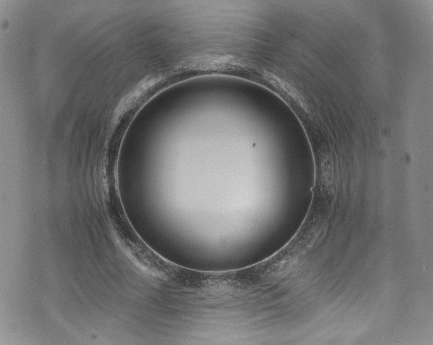 X0000076270682200609281206