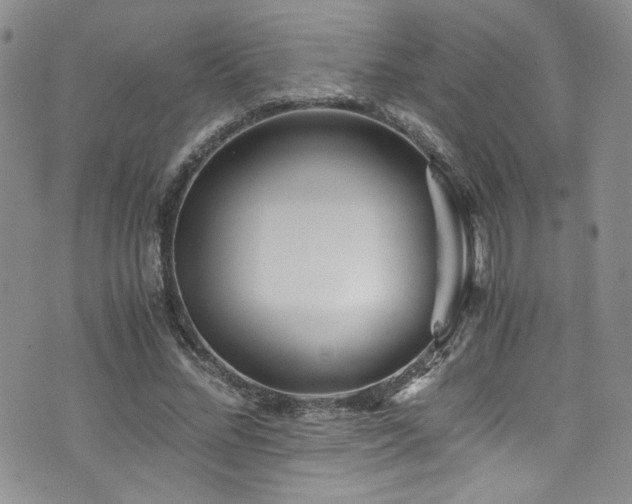 X0000076270684200609281206