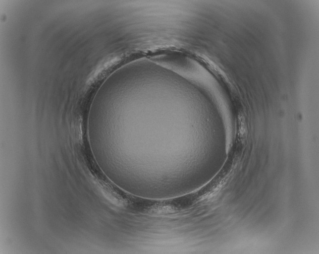 X0000076270685200609281206