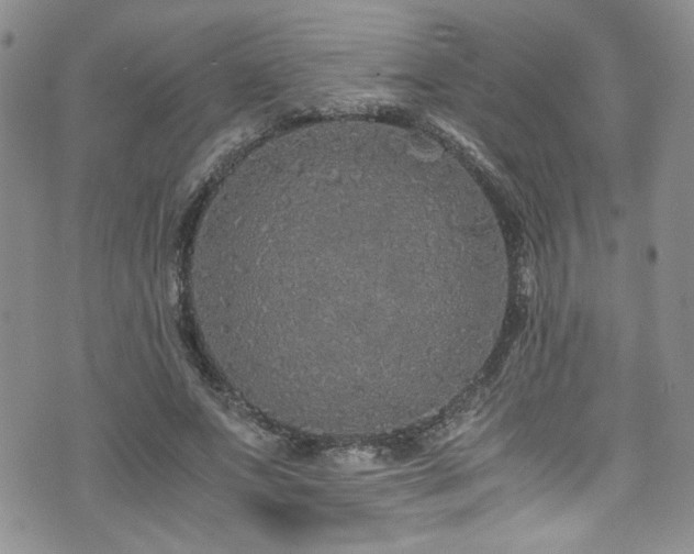 X0000076270687200609281206