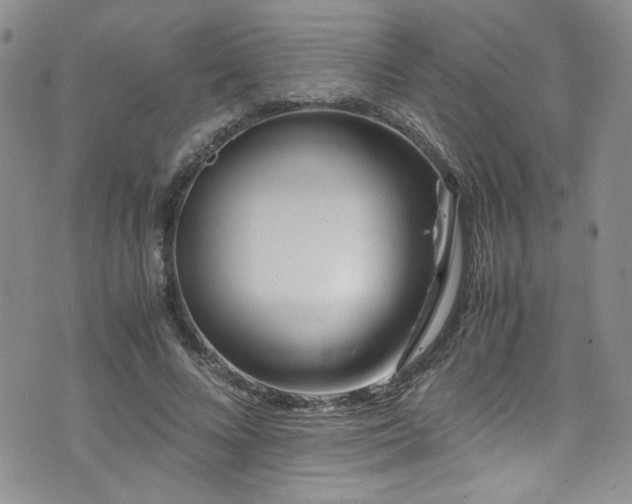 X0000076270688200609281206