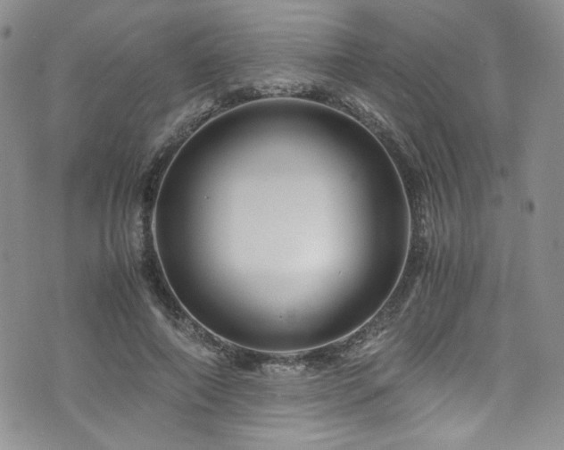 X0000076270690200609281206