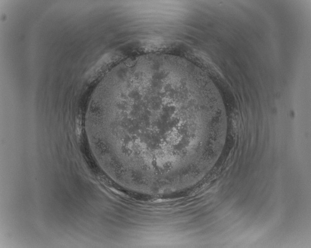 X0000076270691200609281206