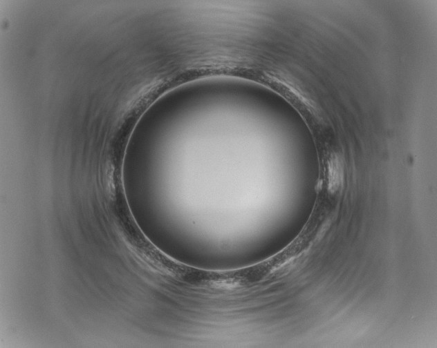 X0000076270692200609281206