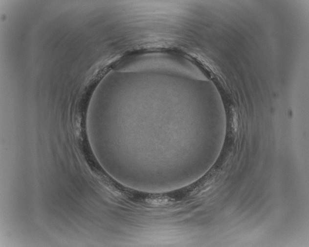 X0000076270693200609281206