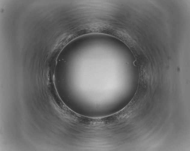 X0000076270694200609281206