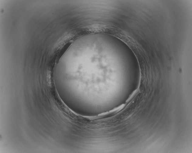 X0000076270696200609281206