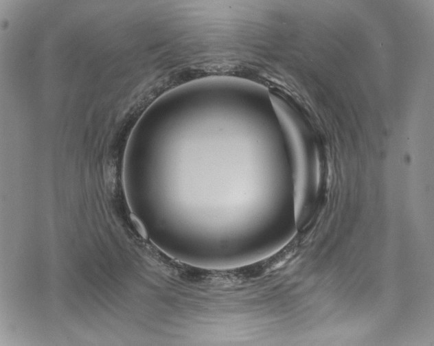 X0000076270697200609281206