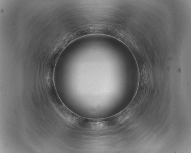 X0000076270698200609281206