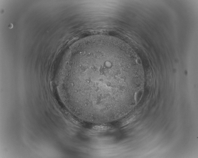 X0000076270699200609281206