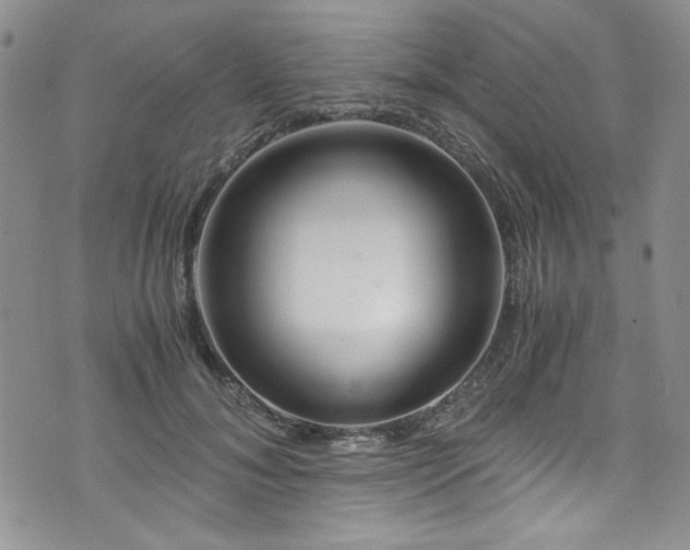 X0000076270700200609281206