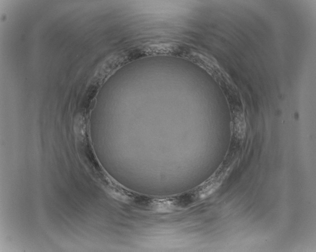 X0000076270701200609281206