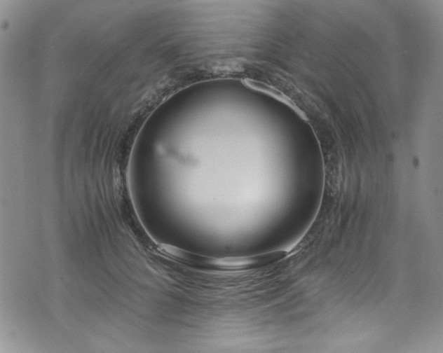 X0000076270704200609281206