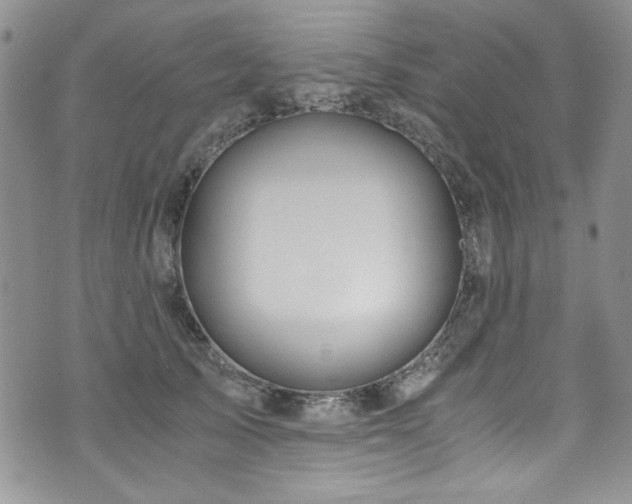 X0000076270705200609281206