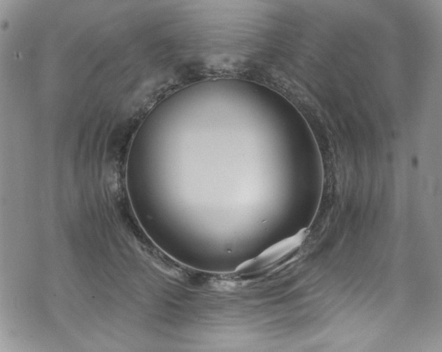 X0000076270706200609281205