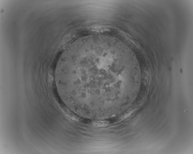 X0000076270707200609281205