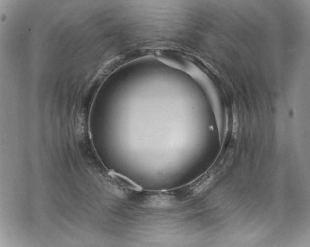 X0000076270708200609281205