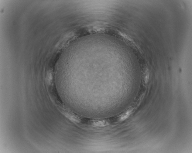 X0000076270709200609281205