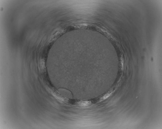 X0000076270711200609281205