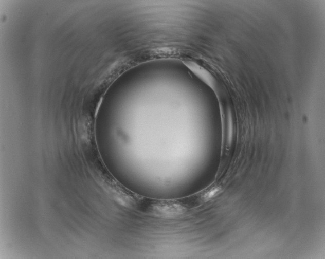 X0000076270712200609281205