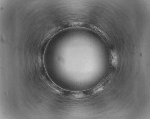 X0000076270716200609281205