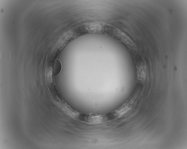 X0000076270717200609281205