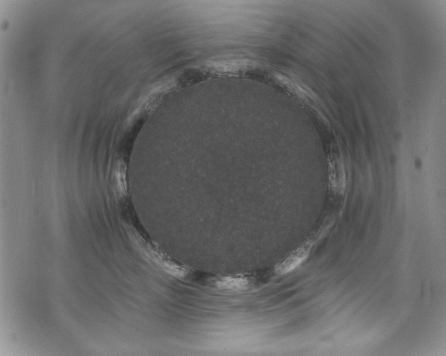 X0000076270718200609281205