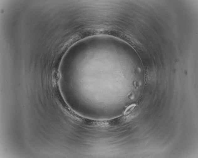 X0000076270719200609281205