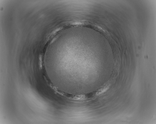 X0000076270720200609281205