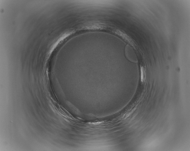 X0000076270723200609281205