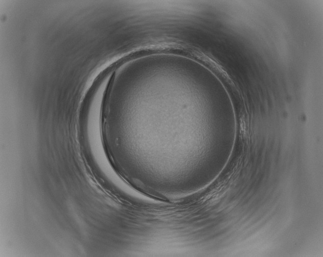 X0000076270724200609281205