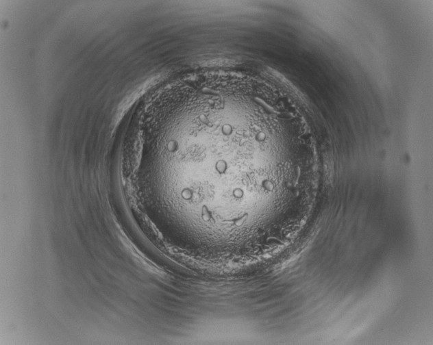 X0000076270725200609281205