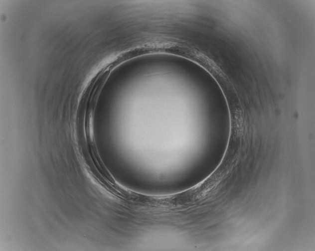 X0000076270726200609281205