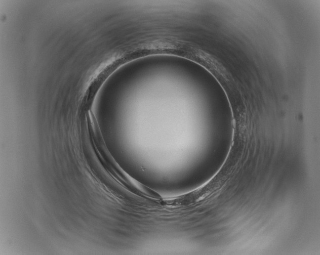 X0000076270727200609281205