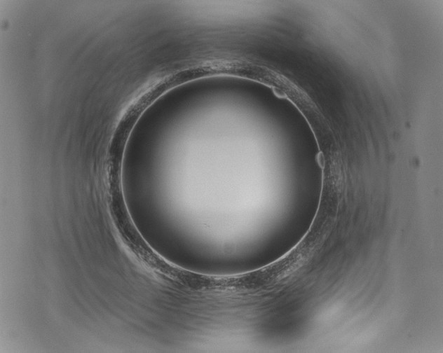 X0000076270730200609281205