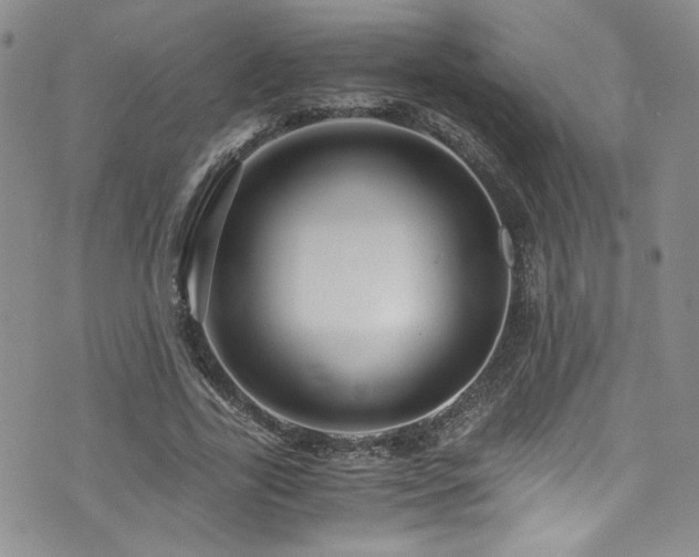 X0000076270731200609281205