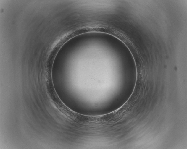 X0000076270732200609281205