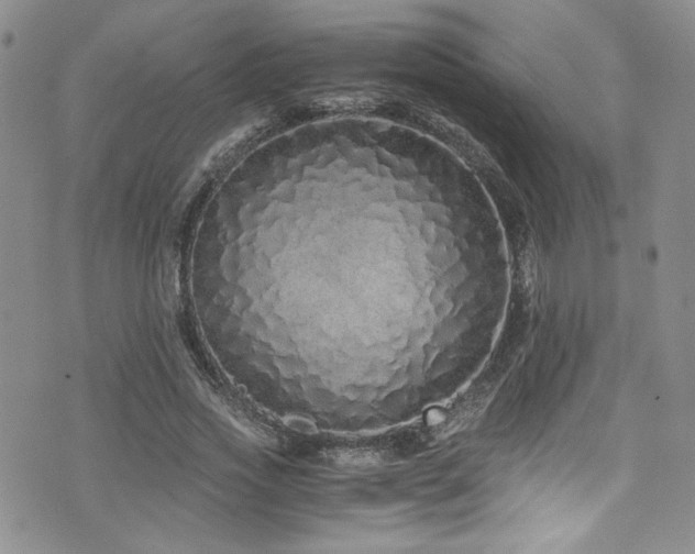 X0000076270733200609281205