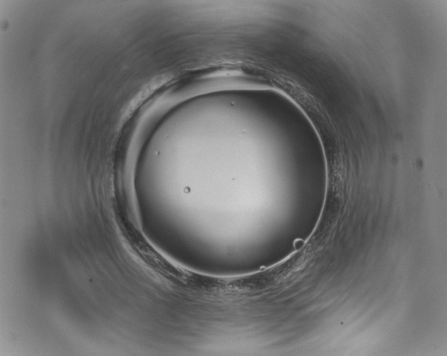 X0000076270734200609281205