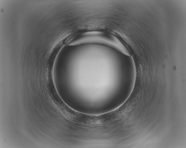 X0000076270735200609281205