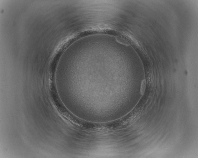 X0000076270736200609281205