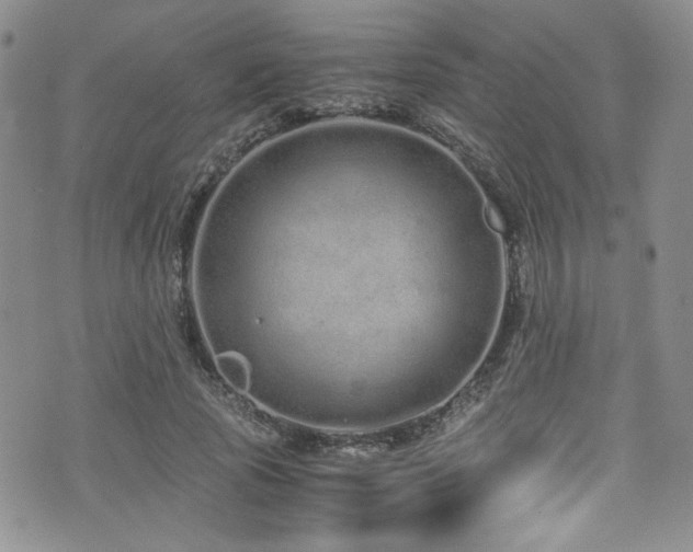 X0000076270737200609281205