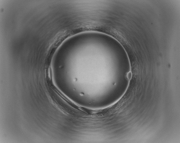 X0000076270738200609281205