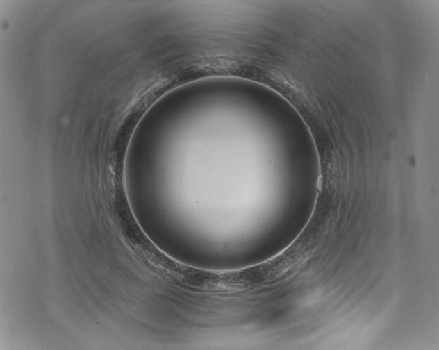 X0000076270739200609281205