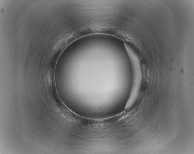 X0000076270740200609281205