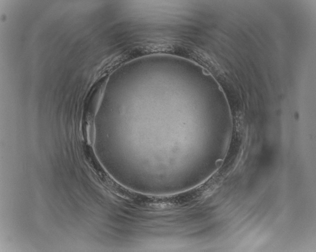 X0000076270741200609281205