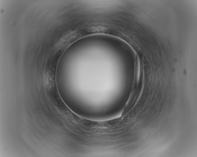 X0000076270743200609281205