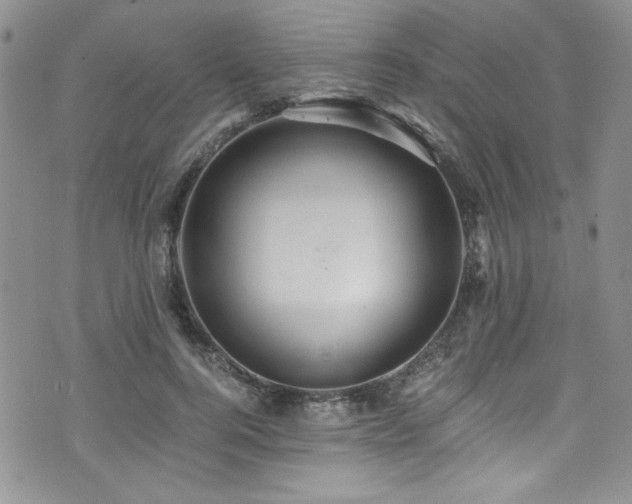 X0000076270744200609281205