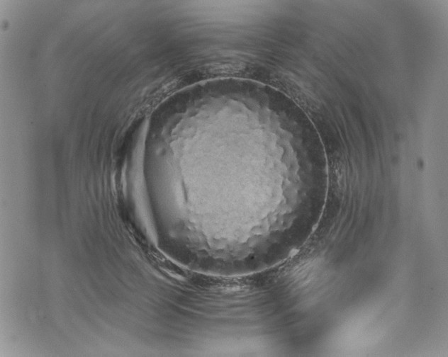 X0000076270745200609281205